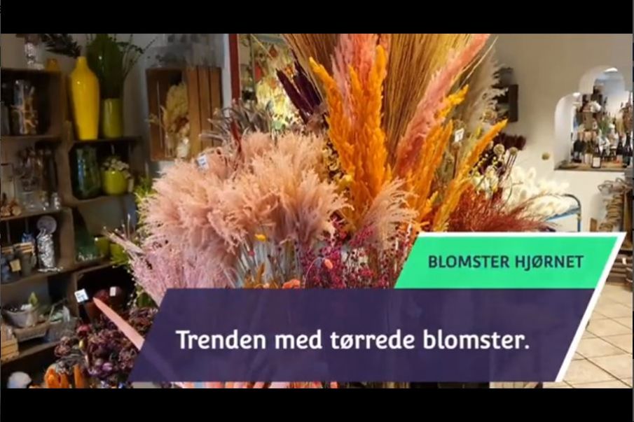 BLOMSTER HJØRNET - TIDENS TREND