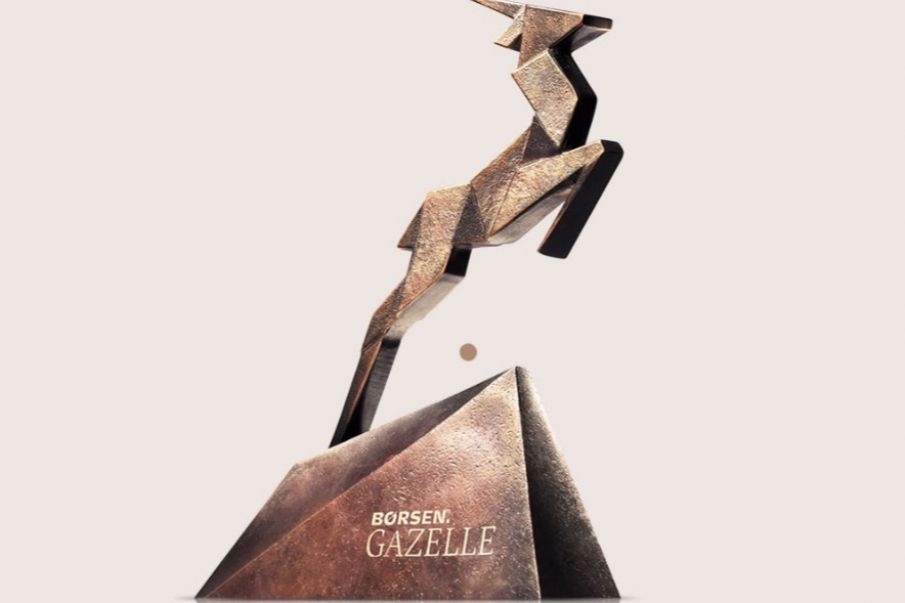 Tillykke til Gazellerne i Varde Kommune.