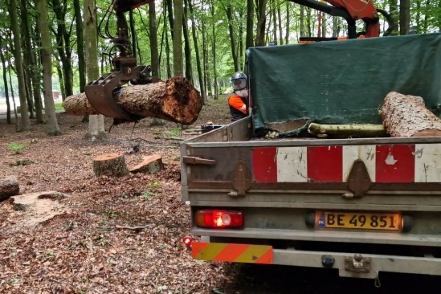 Tistrup Anlæg. En skovmands arbejdsdag .