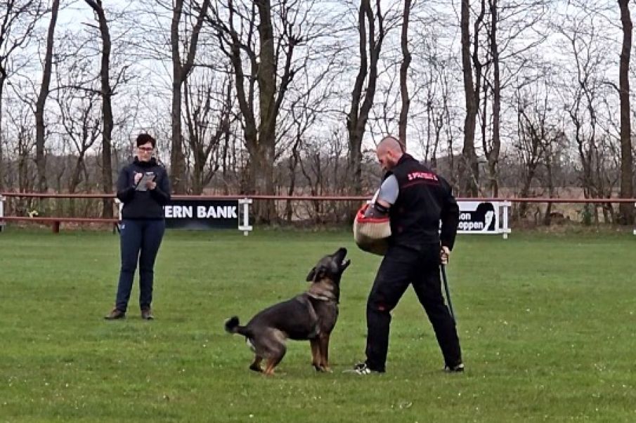 Hunde - Indslag fra Danmarksmesterskaberne i FCI IGP3 2023 i Skovlund