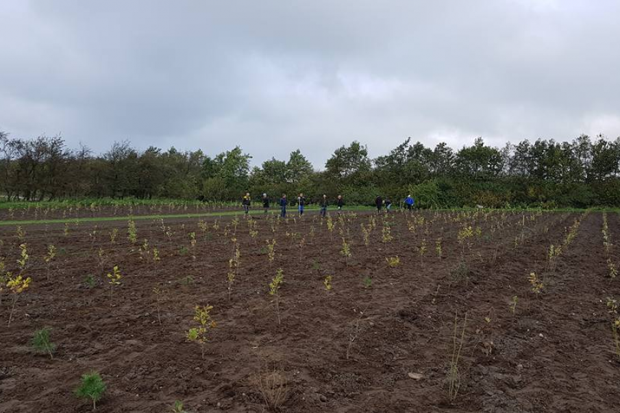 Indslag: Tistrup plantede sin nye Byskov i dag