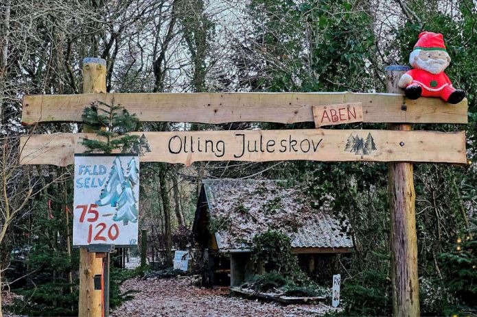 Oplev ”Juleskoven” på Ydrikvej ved Tistrup